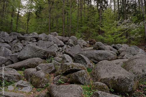Rocks at the Felsenmeer in Germany.