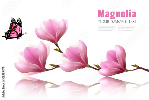 Nature background with blossom branch of pink flowers and butter