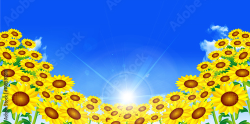 Fototapeta Naklejka Na Ścianę i Meble -  ひまわり　夏　風景　背景