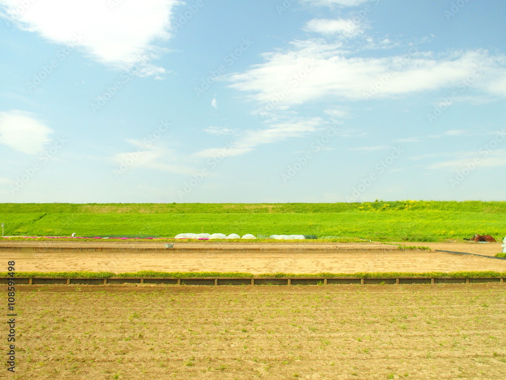 Naklejka premium 春の畑風景