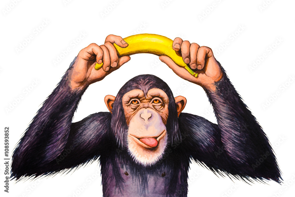 Naklejka premium Szympans trzymający ręce banana nad głową. Akwarela ilustracja.
