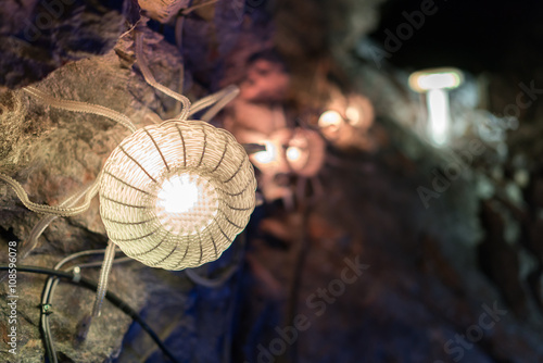 Fototapeta Naklejka Na Ścianę i Meble -  Lighting jellyfish