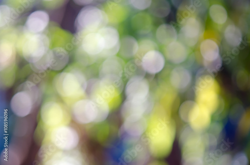 Abstract defocused background of tree, sky, light and sun shade