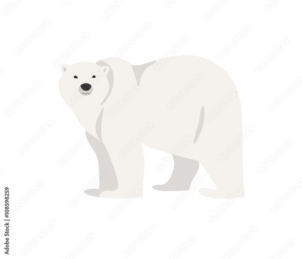 Obraz premium Polar bear hand drawn illustration, flat style