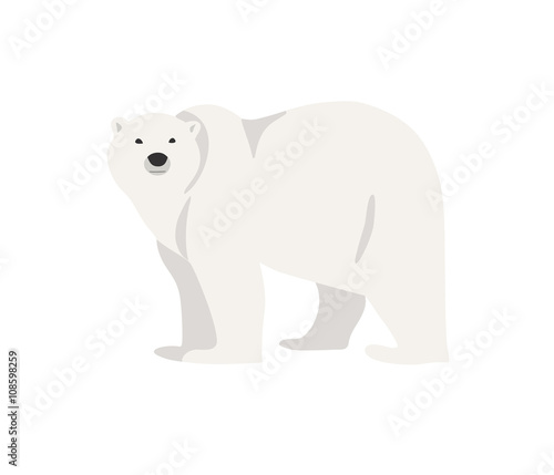 Polar bear hand drawn illustration, flat style