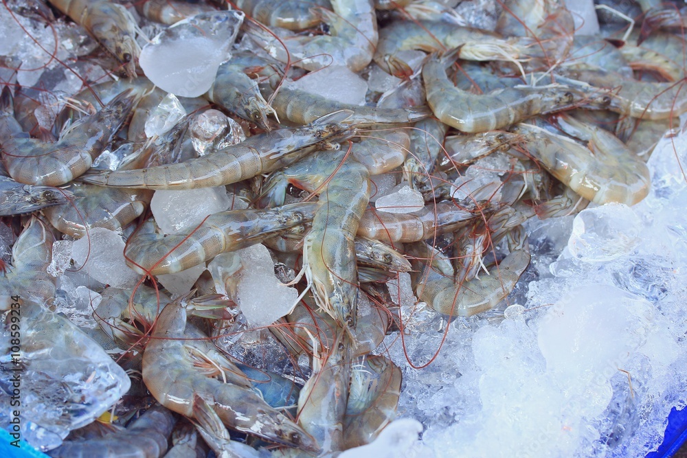 Fresh shrimp at market