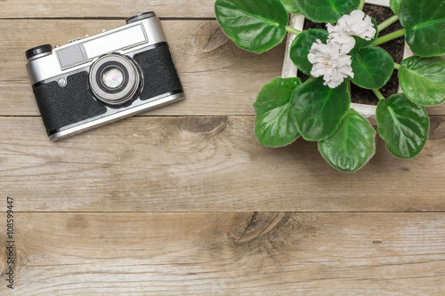 retro camera and a flower in a pot photo