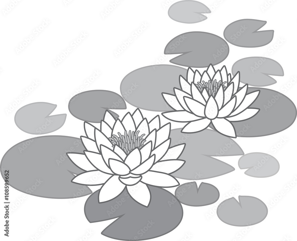 睡蓮 喪中欠礼 モノクロ Stock ベクター Adobe Stock