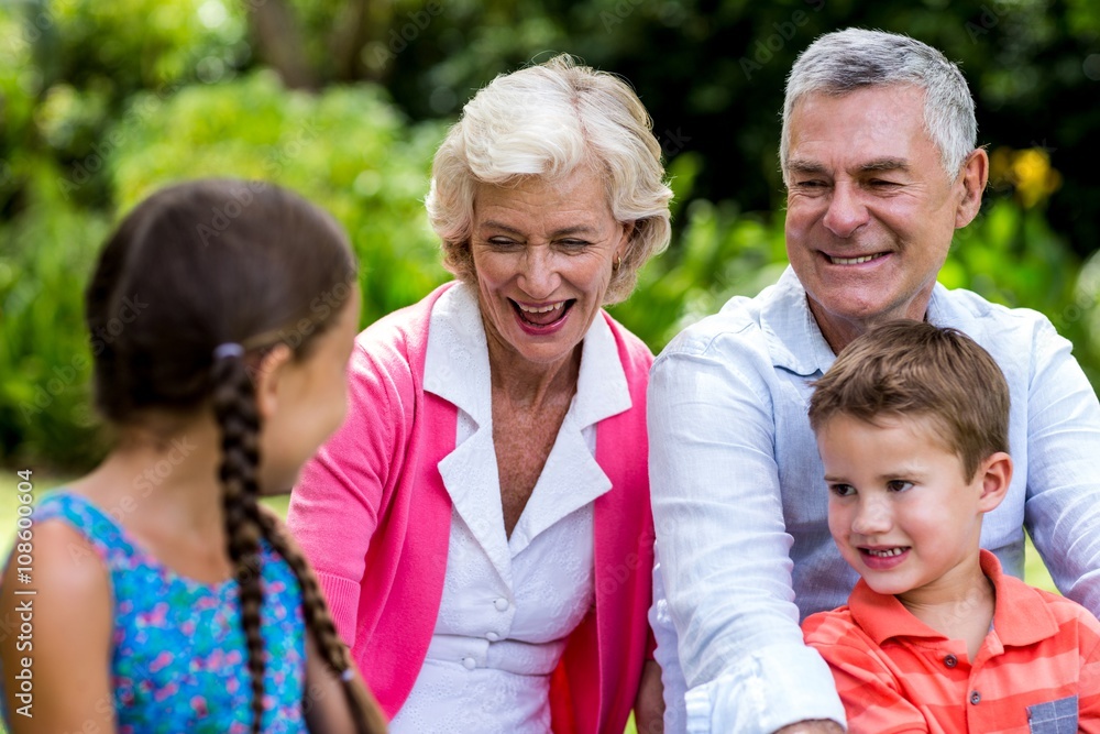 Fototapeta premium Grandparents relaxing with grandchildren at yard