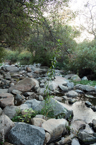 Small Mountain River Rocks