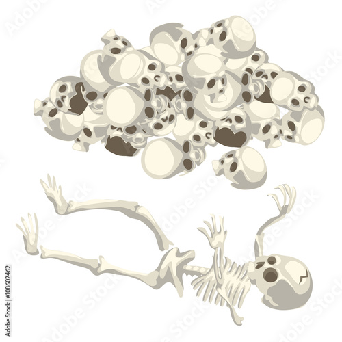 Human skeleton and pile of skulls. Vector isolated 