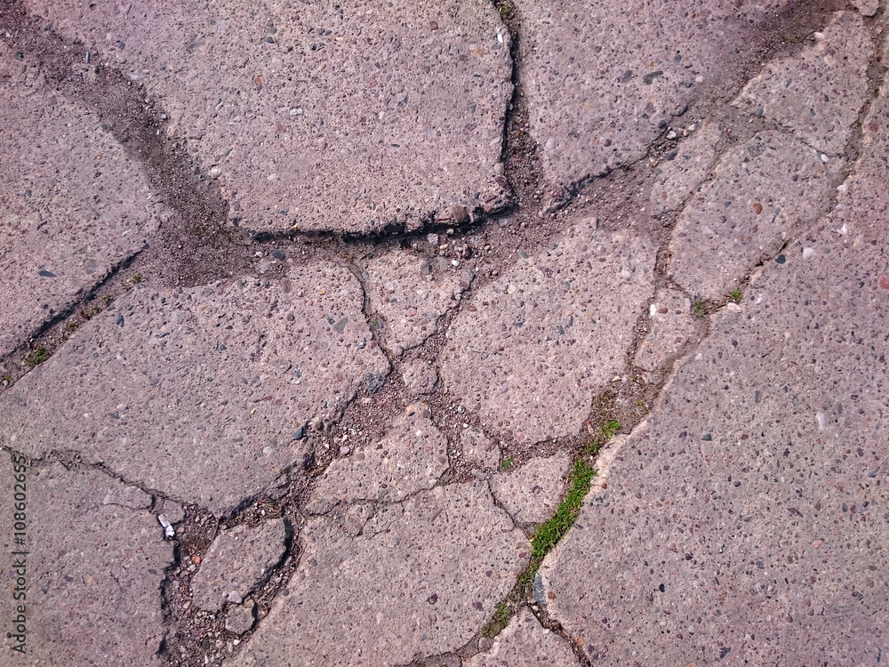 Fototapeta premium interesting crack pattern in the stone ground with green grass growing inside