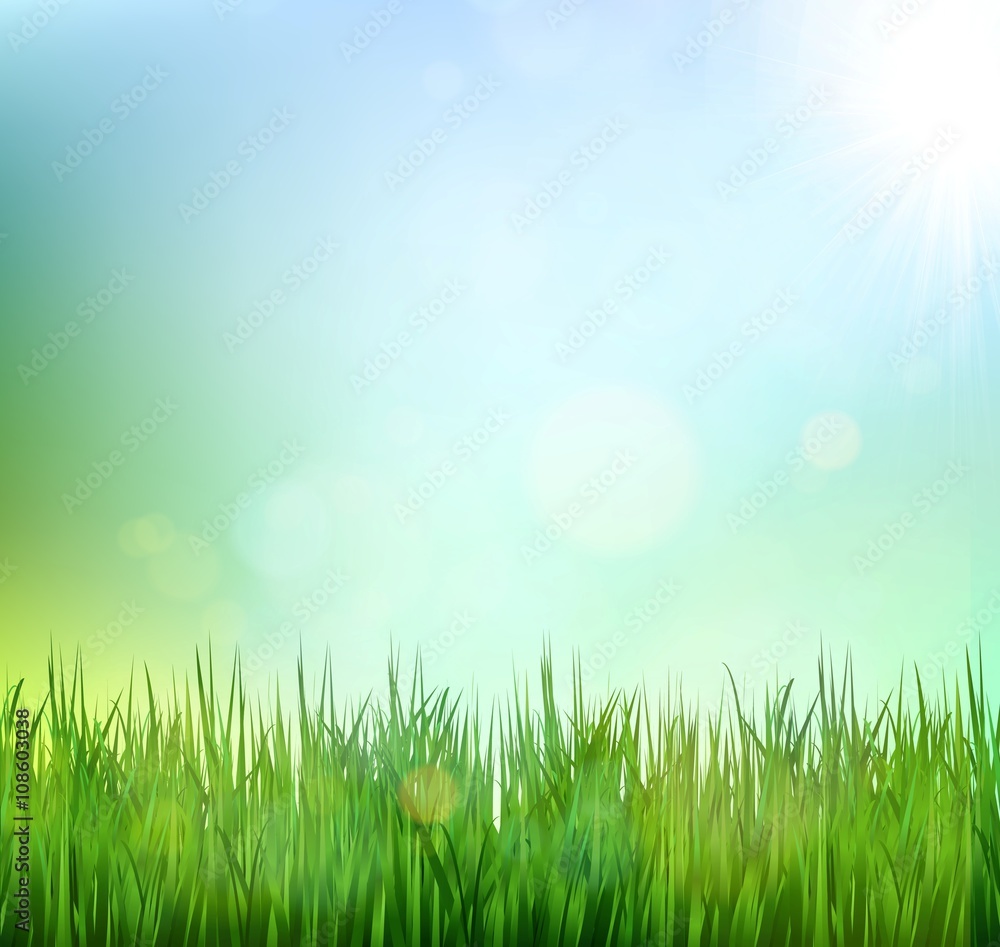 Green grass lawn with sunrise on blue sky Green grass lawn with sunrise on blue sky