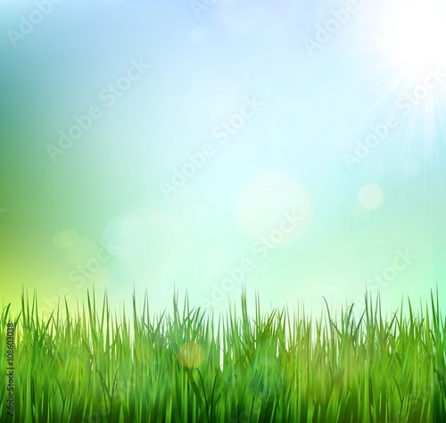 Green grass lawn with sunrise on blue sky