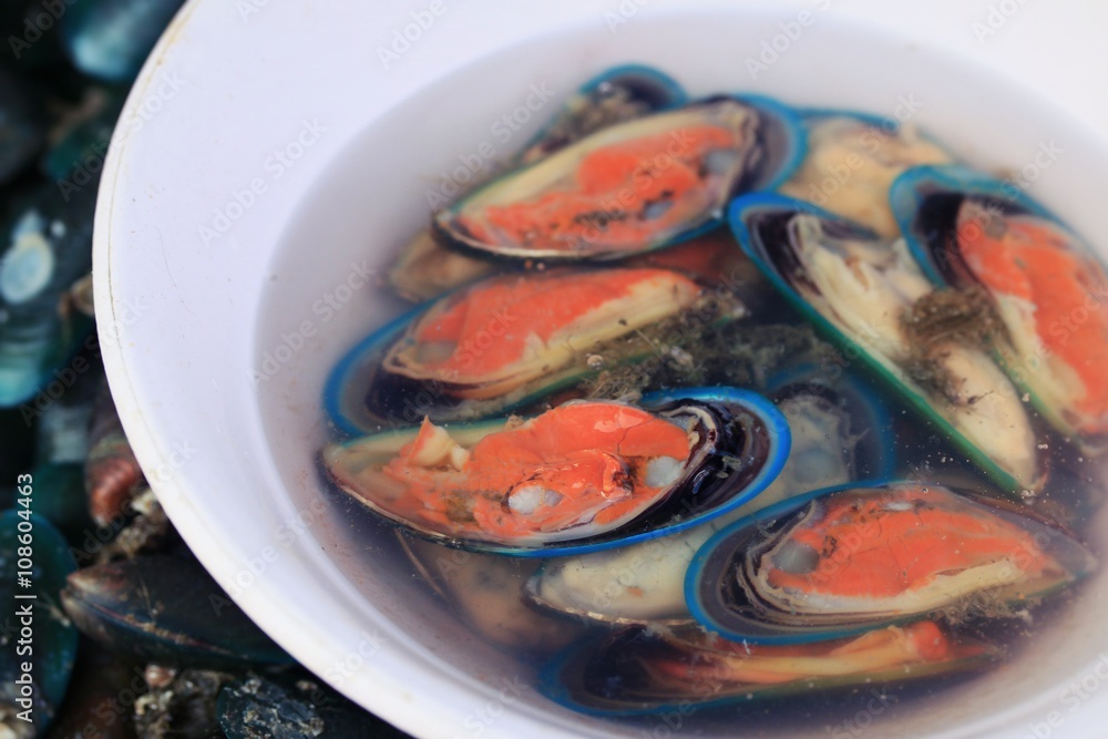 Fresh mussels Fresh mussels