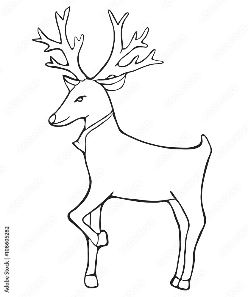 Obraz premium deer