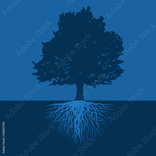 tree with roots