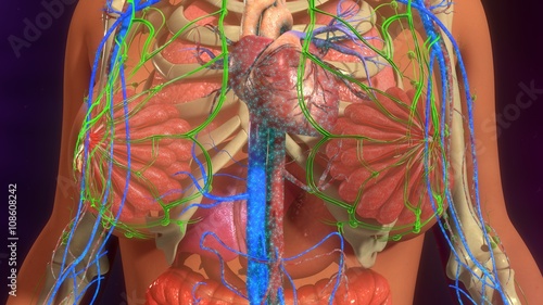 Foto Metastasis Infection