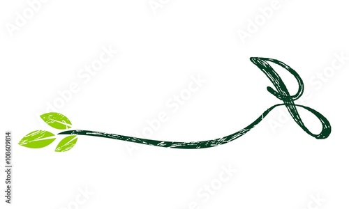 Letter B Leaf 