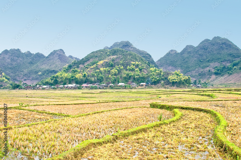 Rice field after harvest in Son La province, Vietnam