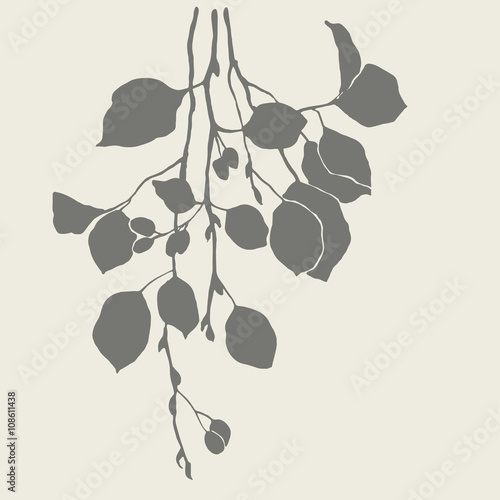 Silhouette of alder branch.