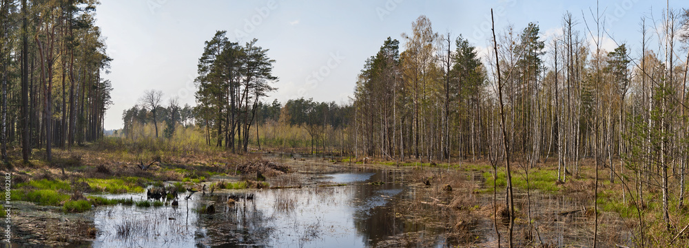 Болото. Панорама 