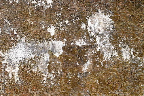 white concrete wall texture © freedom_naruk