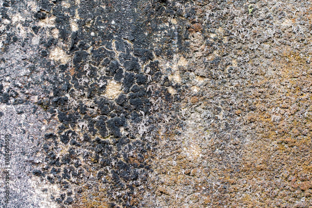 white concrete wall texture white concrete wall texture