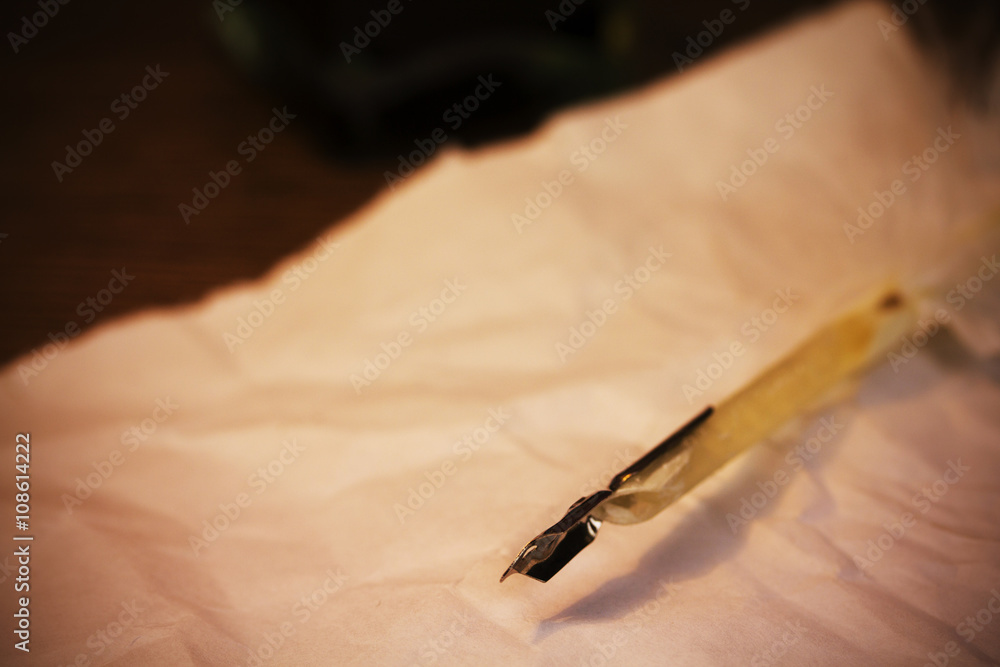Fototapeta premium Feather quill pen with metal nib