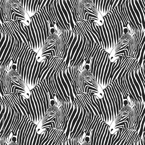 Zebras seamless pattern. Vector black and white nature backgroun
