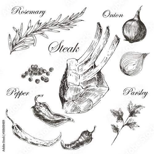 vector meat steak sketch drawing designer template. food hand-drawn backdrop for corporate identity