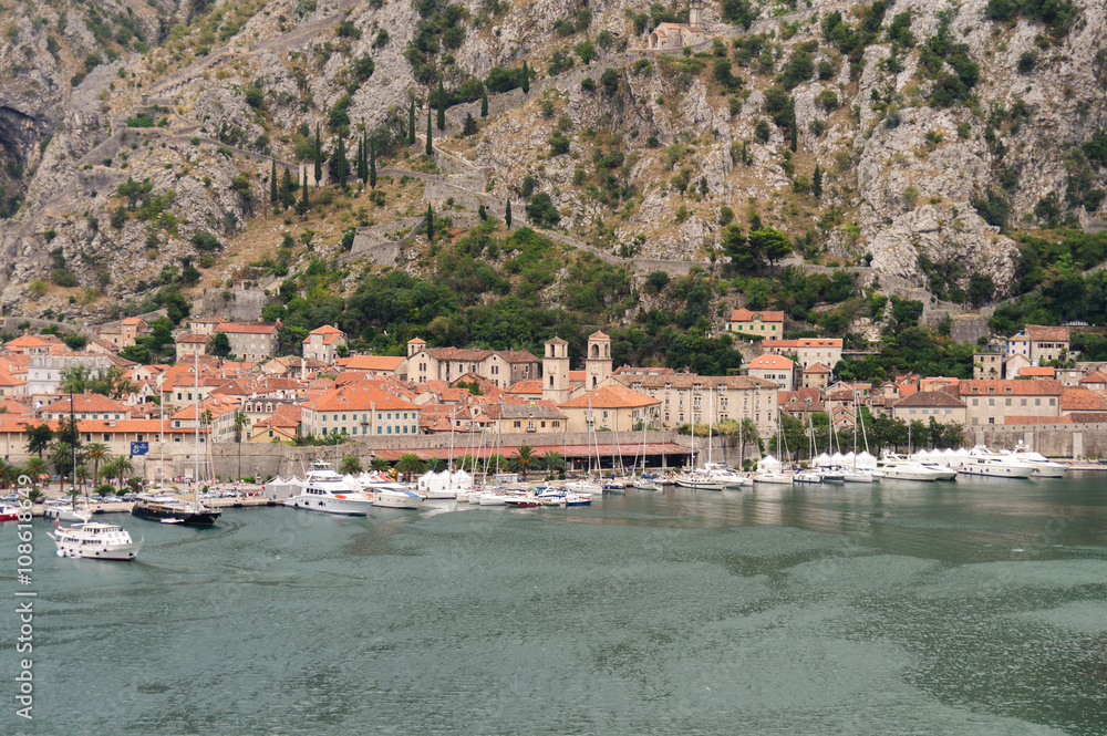 Kotor old town cityscape