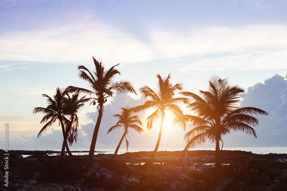 Tropical palm trees on sunset. Riviera Maya, Mexico.