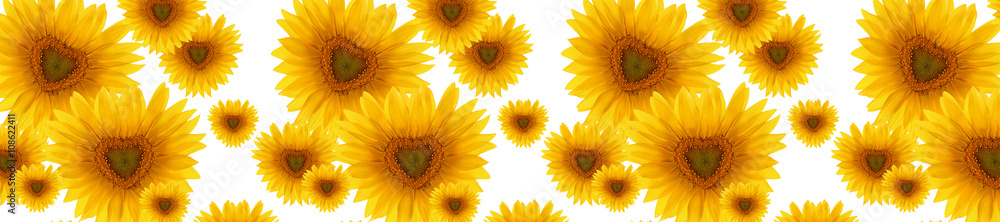 header panorama pattern flower sunflower heart-shaped header panorama pattern flower sunflower heart-shaped