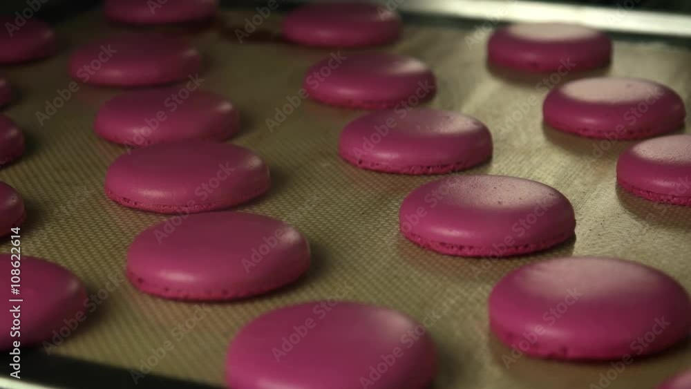 Baking pink Macarons in a professional oven, time lapse Baking pink Macarons in a professional oven, time lapse