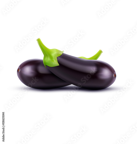 vector eggplant isolated on white background