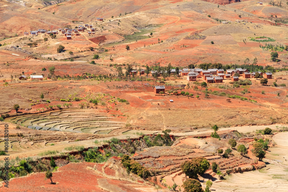 Naklejka premium Small village and rice fields in the damaged red landscape of Madagascar