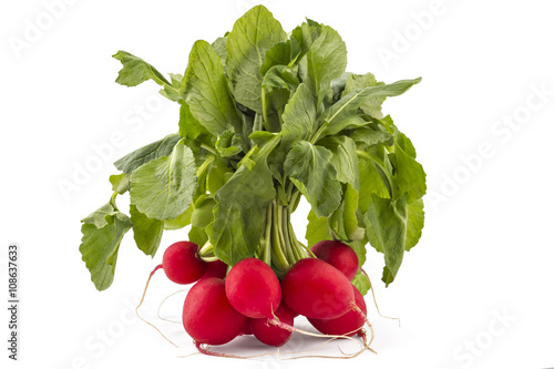 Bunch of raw organic small garden radishes with leaves isolated on white background