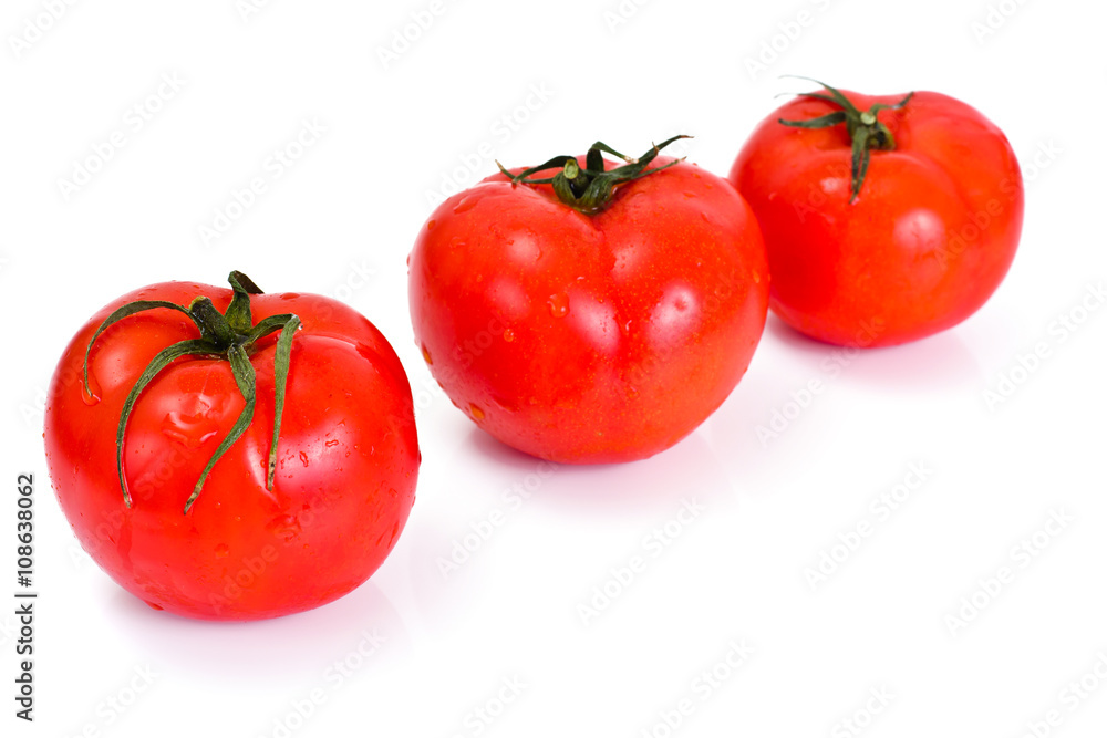 Red Tomatoes Isolated on a White Background Red Tomatoes Isolated on a White Background