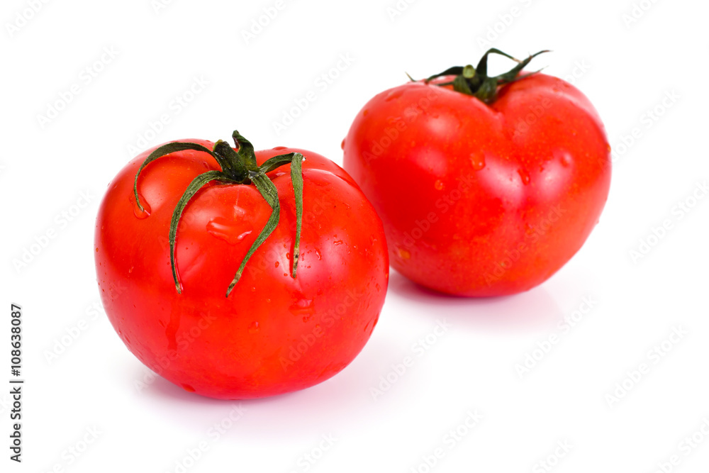 Red Tomatoes Isolated on a White Background Red Tomatoes Isolated on a White Background