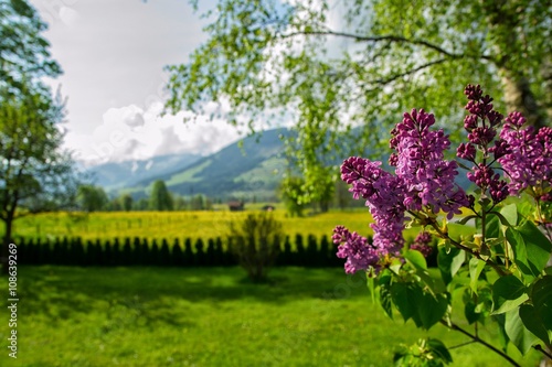 Paisaje de naturaleza en Maria Alm, Austria