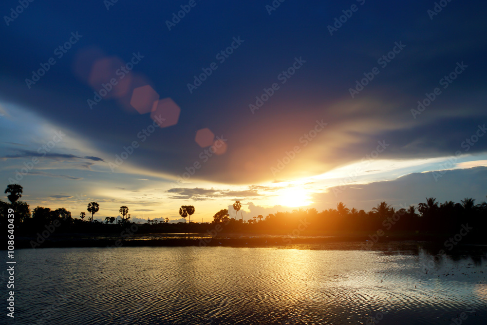 Sunset and sugar palm tree.