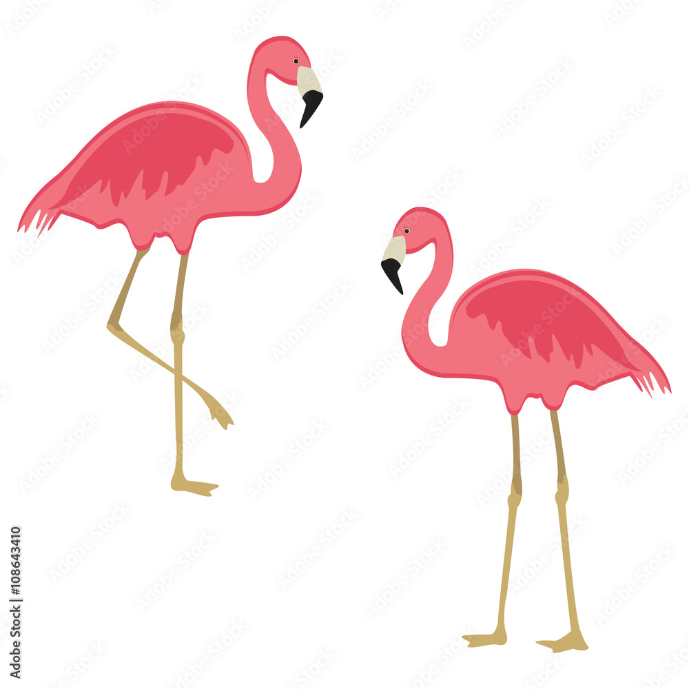 Pink flamingo vector