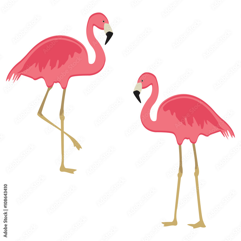 Obraz premium Pink flamingo vector