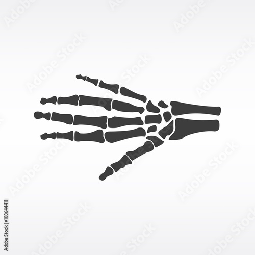 Hand bones vector