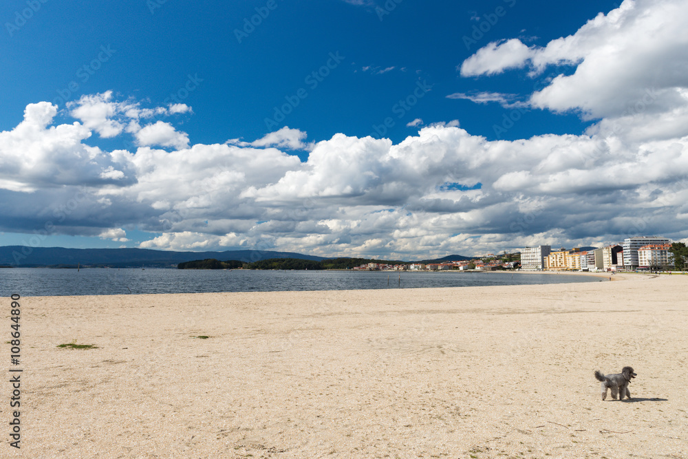 view of the sea beach with clouds