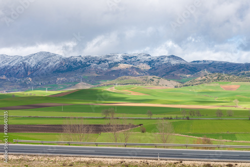 green field on a background of mountains