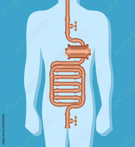 Digestive system conceptual, vector illustration with pipes