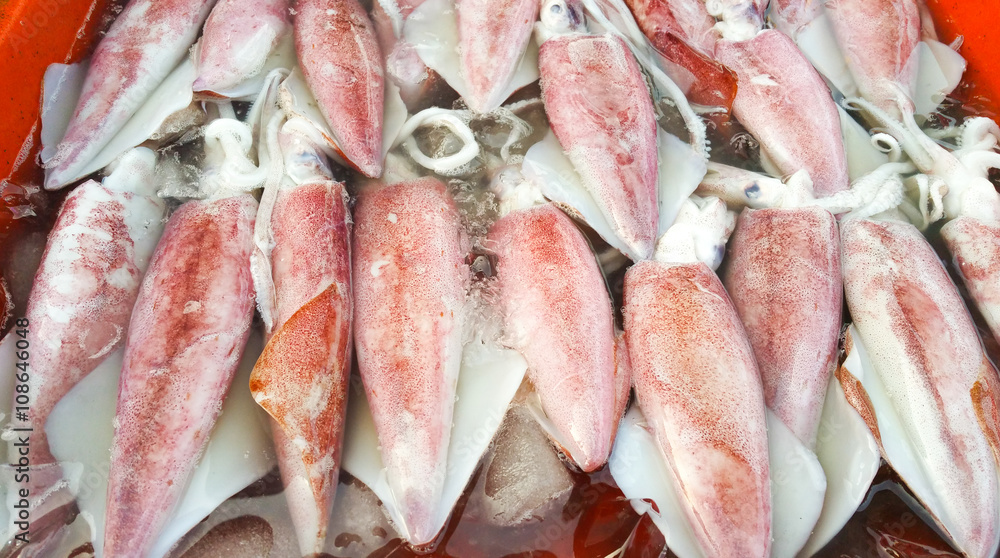 squid on sale in bazaar
