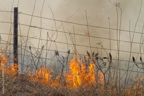 fire and smoke, burning prairie grass, Flint Hills, Kansas